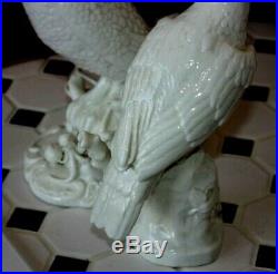 Antique Nymphenburg Blanc de Chine Porcelain Parrot Cockatoo Bird Statue