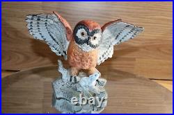 Antique Owl Bisque Porcelain Noritake Germany RARE