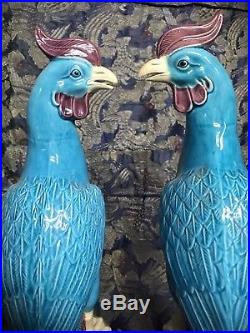 Antique Pair Chinese Porcelain Phoenix Ho Ho Birds Qing / Republic Turquoise