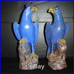 Antique Pair of Superb Large 19th Cent. Chinese Porcelain Blue Phoenix Parrots