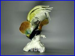 Antique Paradise Bird Porcelain Figurine Karl Ens Germany Art Sculpture Decor