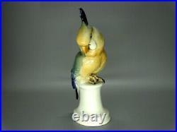 Antique Porcelain Blue Parrot Figurine Karl Ens Germany Art Sculpture Decor Gift