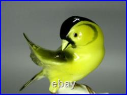 Antique Porcelain Oatmeal Bird Figurine Hutschenreuther Germany Art Sculpture