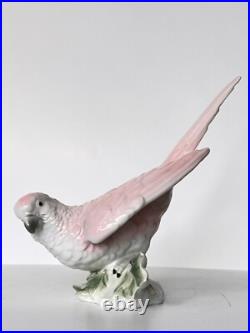 Antique Porcelain Parrot Bird Figurine Wagner & Apel Grafenthal Thuringia Mint