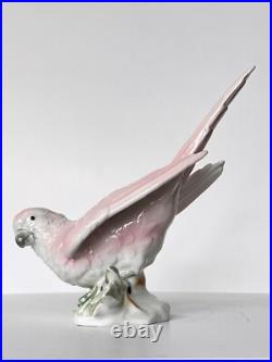 Antique Porcelain Parrot Bird Figurine Wagner & Apel Grafenthal Thuringia Mint