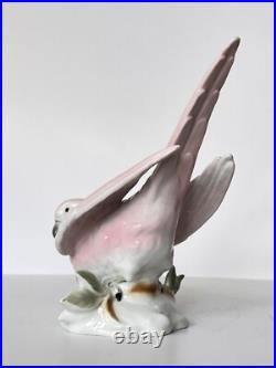 Antique Porcelain Parrot Bird Figurine Wagner & Apel Grafenthal Thuringia Mint
