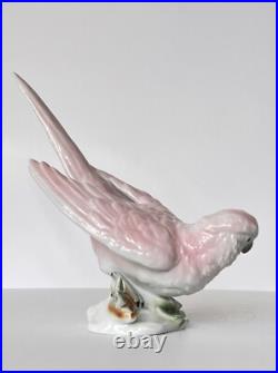 Antique Porcelain Parrot Bird Figurine Wagner & Apel Grafenthal Thuringia Mint