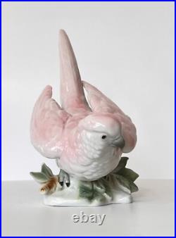 Antique Porcelain Parrot Bird Figurine Wagner & Apel Grafenthal Thuringia Mint