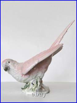 Antique Porcelain Parrot Bird Figurine Wagner & Apel Grafenthal Thuringia Mint