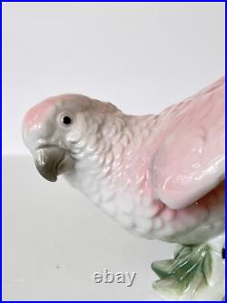 Antique Porcelain Parrot Bird Figurine Wagner & Apel Grafenthal Thuringia Mint