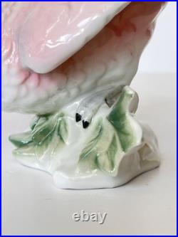 Antique Porcelain Parrot Bird Figurine Wagner & Apel Grafenthal Thuringia Mint