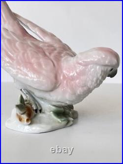 Antique Porcelain Parrot Bird Figurine Wagner & Apel Grafenthal Thuringia Mint