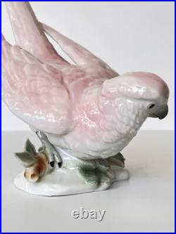 Antique Porcelain Parrot Bird Figurine Wagner & Apel Grafenthal Thuringia Mint