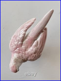 Antique Porcelain Parrot Bird Figurine Wagner & Apel Grafenthal Thuringia Mint
