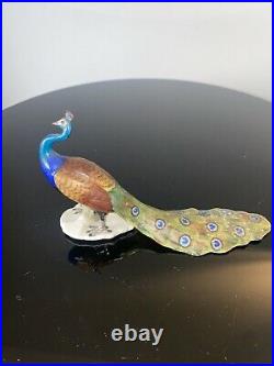 Antique Porcelain Peacock Figure European Must SEE
