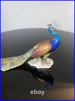 Antique Porcelain Peacock Figure European Must SEE