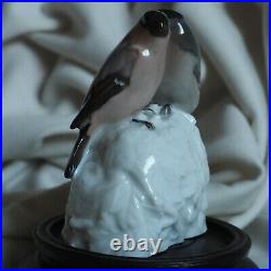 Antique Rosenthal Sing 2 Bird Bullfinch German Porcelain Figure Old Nature Rare