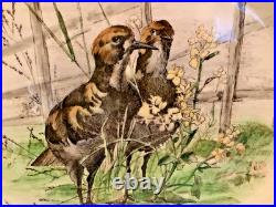 Antique Royal Doulton Lge Platter with Wild Birds 14x17, c1905, Unusual & RARE