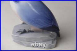 B&G Bing & Grondahl Copenhagen Kingfisher Bird Figurine #1619