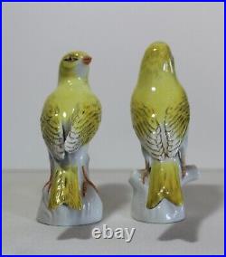 Beautiful Antique Pair Meissen Yellow Birds