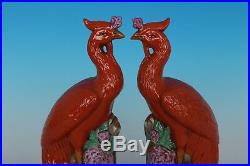 Beautiful Chinese Pair Famille Rose Rare Porcelain Peacock Statues
