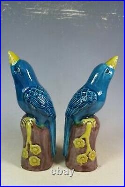 Beautiful Chinese blue glaze porcelain a pair birds