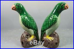 Beautiful Chinese green glaze porcelain a pair parrot
