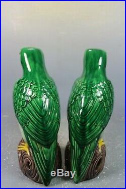 Beautiful Chinese green glaze porcelain a pair parrot