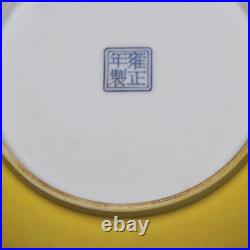 Beautiful Collectable Art Handwork Famille Rose Porcelain Bird Plate