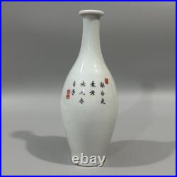 Beautiful Collectable Art Handwork Famille Rose Porcelain Bird Vase