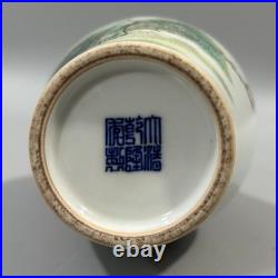 Beautiful Collectable Art Handwork Famille Rose Porcelain Bird Vase