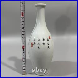 Beautiful Collectable Art Handwork Famille Rose Porcelain Bird Vase