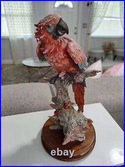 Beautiful Giuseppe Armani Capodimonte Porcelain Parrot? On Sodden Base 16t 8