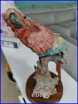Beautiful Giuseppe Armani Capodimonte Porcelain Parrot? On Sodden Base 16t 8