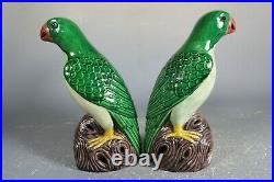 Beautiful chinese green glaze porcelain Parrots