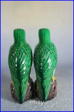 Beautiful chinese green glaze porcelain Parrots