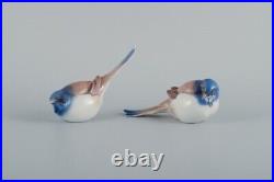 Bing and Grøndahl, two porcelain birds