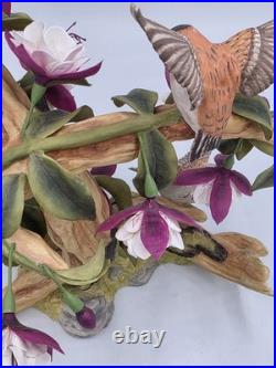 Boehm BIRDS Rufus Hummingbird With Fuchsia 10395 Limited Edition