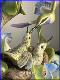 Boehm Blue-throated Hummingbirds With Morning Glories 40476