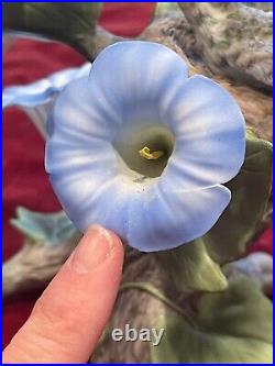 Boehm Blue-throated Hummingbirds With Morning Glories 40476