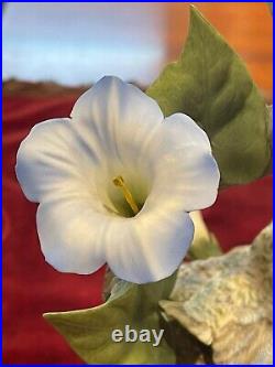 Boehm Blue-throated Hummingbirds With Morning Glories 40476