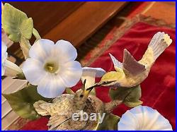 Boehm Blue-throated Hummingbirds With Morning Glories 40476