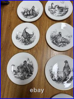 Boehm Game Bird Series Woodcock (made England) Fine Bone China (10 plates)