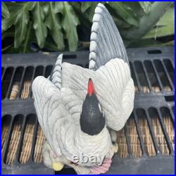 Boehm Laughing Gull Porcelain Figurine, 40139, Mint Condition 8 Tall