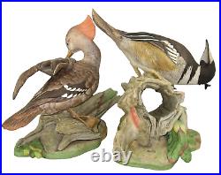 Boehm Porcelain BIRD Sculpture HOODED MERGANSERS 496 (PAIR)