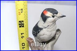 Boehm Porcelain Downy Woodpeckers 427 Limited Edition Bird Figurine Statue Mint