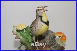 Boehm Porcelain Meadowlark Mushrooms 435 R Bird Figurine Statue USA Vintage