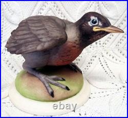 Boehm Stamped MID 20th Century Porcelain Baby Robin Figurine #437k