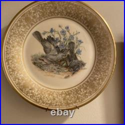 COMPLETE SET 9 LENOX, BOEHM Limited Edition 1970 1981 Bird Plates STUNNING