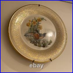 COMPLETE SET 9 LENOX, BOEHM Limited Edition 1970 1981 Bird Plates STUNNING